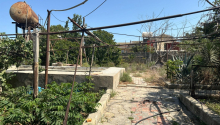 65 m2 Torpaq, Satış, Bakı, Xəzər, Koroğlu