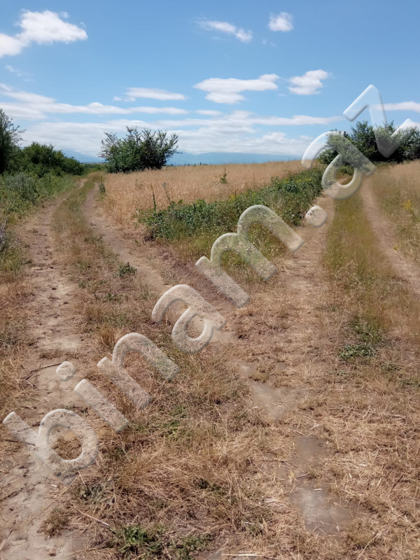 6 hektar Torpaq, Satış, Qusar