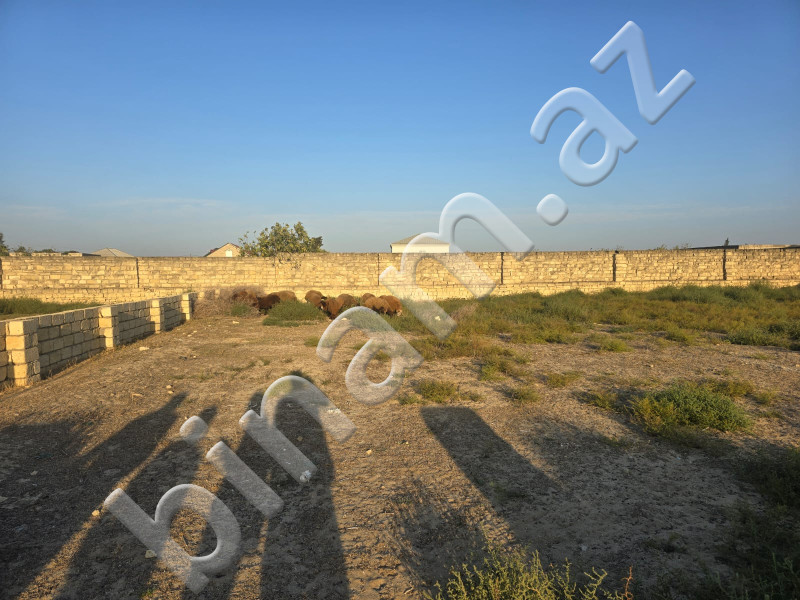 8.5 sot Torpaq, Satış, Bakı, Sabunçu, Koroğlu