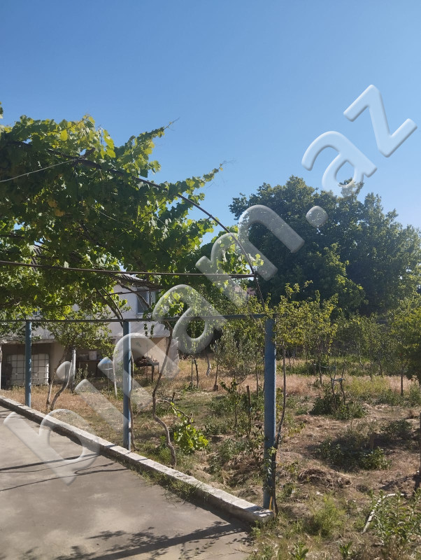 3 otaqlı Bağ evləri, Satış, Abşeron