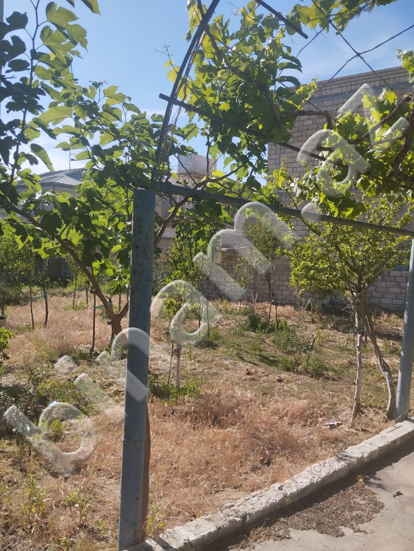 3 otaqlı Bağ evləri, Satış, Abşeron