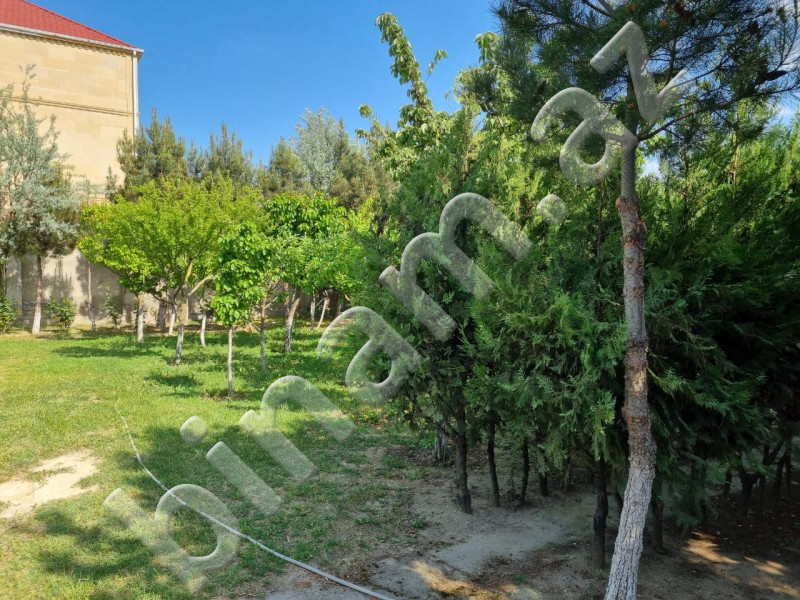 7 sot Torpaq, Satış, Bakı, Xəzər