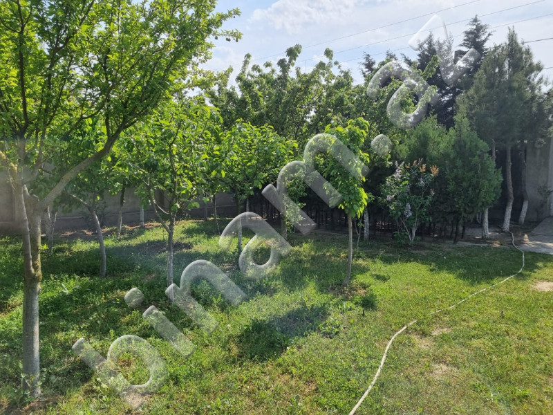 7 sot Torpaq, Satış, Bakı, Xəzər