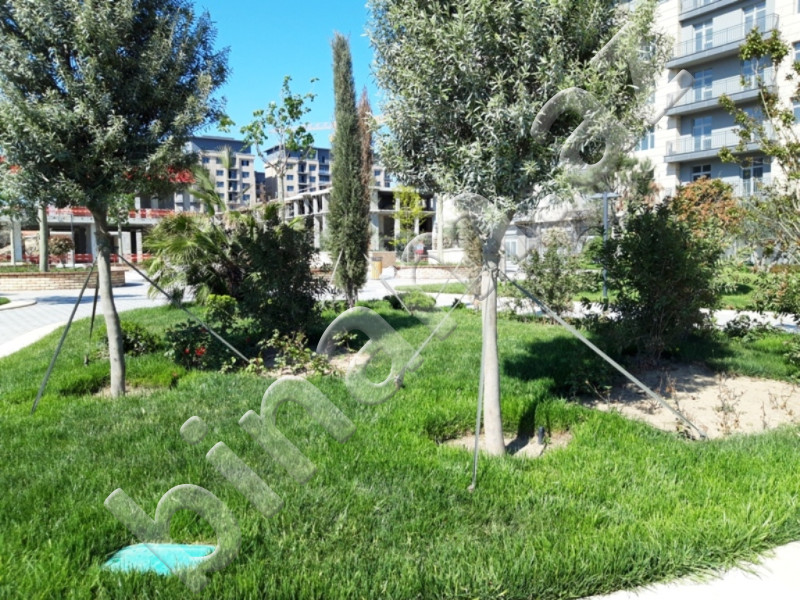 1 otaqlı Obyekt, Kirayə (aylıq), Bakı, Xətai, Xətai