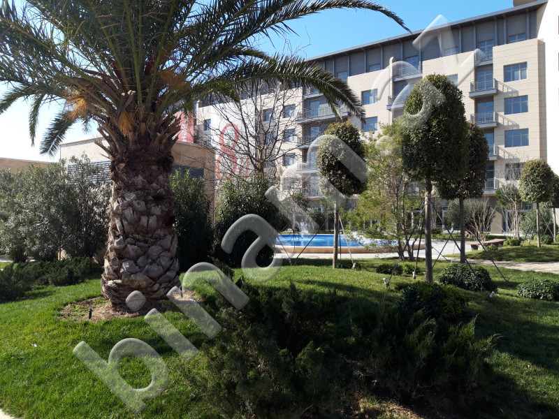 1 otaqlı Obyekt, Kirayə (aylıq), Bakı, Xətai, Xətai
