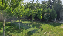 7 sot Torpaq, Satış, Bakı, Xəzər