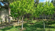 7 sot Torpaq, Satış, Bakı, Xəzər