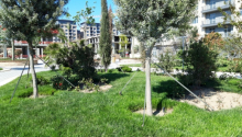 1 otaqlı Obyekt, Kirayə (aylıq), Bakı, Xətai, Xətai