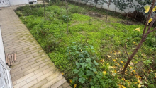 4 otaqlı Bağ evləri, Satış, Bakı, Xəzər, Koroğlu