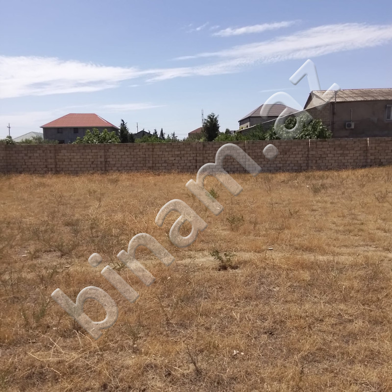 11 sot Torpaq, Satış, Bakı, Xəzər, Koroğlu