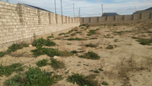 26 sot Torpaq, Satış, Bakı, Xəzər