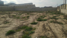 26 sot Torpaq, Satış, Bakı, Xəzər