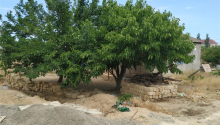 12 sot Torpaq, Satış, Bakı, Sabunçu