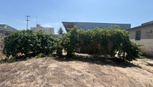 10 sot Torpaq, Satış, Bakı, Xəzər