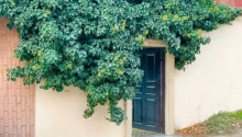 5 otaqlı Bağ evləri, Satış, Bakı, Xəzər