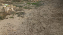 12 sot Torpaq, Satış, Bakı, Sabunçu, Koroğlu