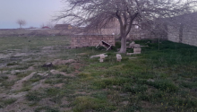 18 sot Torpaq, Satış, Bakı, Xəzər