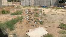 32 sot Torpaq, Satış, Bakı, Nərimanov, Bakmil