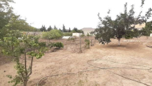 3 sot Torpaq, Satış, Bakı, Xəzər