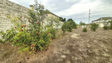 3 sot Torpaq, Satış, Bakı, Xəzər