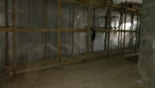 5 otaqlı Obyekt, Kirayə (aylıq), Bakı