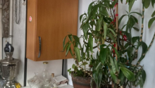 2 otaqlı Köhnə tikili, Satış, Sumqayıt