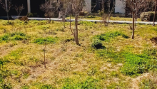 2 otaqlı Bağ evləri, Satış, Bakı, Xəzər, Koroğlu