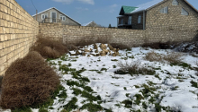 5 sot Torpaq, Satış, Bakı, Sabunçu