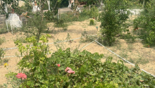 6 otaqlı Bağ evləri, Satış, Bakı, Xəzər