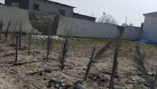 6 m2 Torpaq, Satış, Bakı, Binəqədi