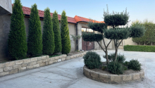 6 otaqlı Bağ evləri, Satış, Bakı, Sabunçu, Koroğlu