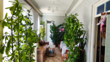 3 otaqlı Bağ evləri, Satış, Bakı, Xəzər, Koroğlu