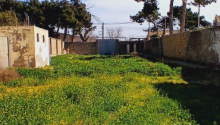 7 sot Torpaq, Satış, Bakı, Xəzər, Koroğlu