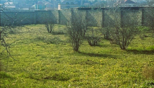 23 sot Torpaq, Satış, Abşeron