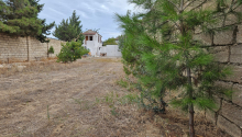 5 sot Torpaq, Satış, Bakı, Xəzər, Koroğlu