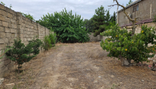 5 sot Torpaq, Satış, Bakı, Xəzər, Koroğlu