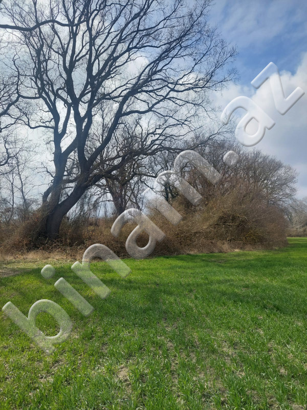 1000 m2 Torpaq, Satış, Xaçmaz