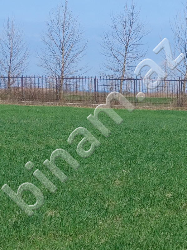 1000 m2 Torpaq, Satış, Xaçmaz