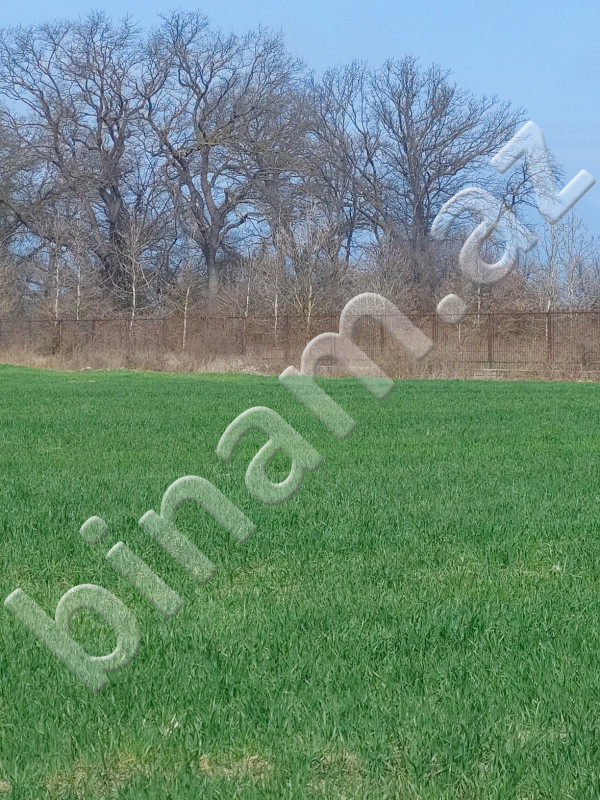 1000 m2 Torpaq, Satış, Xaçmaz