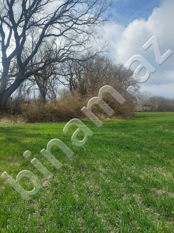 1000 m2 Torpaq, Satış, Xaçmaz
