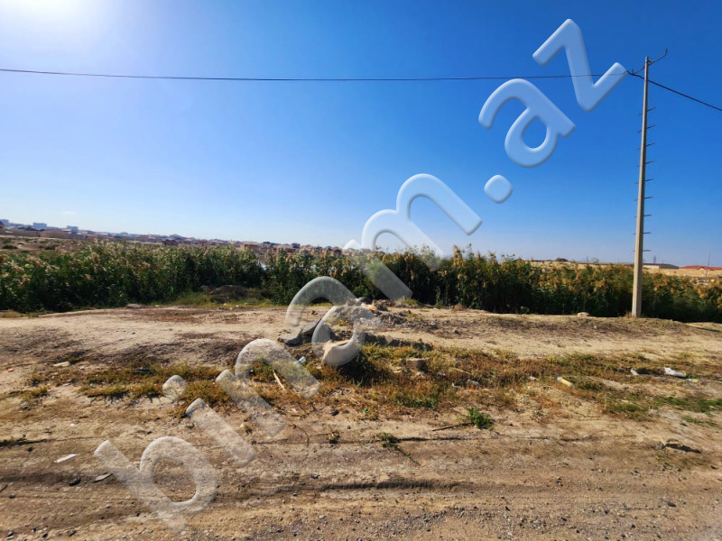 544 sot Torpaq, Satış, Abşeron