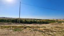 544 sot Torpaq, Satış, Abşeron