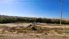 544 sot Torpaq, Satış, Abşeron