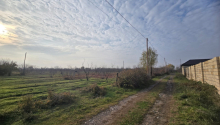 10 m2 Torpaq, Satış, Xaçmaz