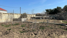10 sot Torpaq, Satış, Bakı, Sabunçu