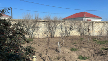 10 sot Torpaq, Satış, Bakı, Sabunçu