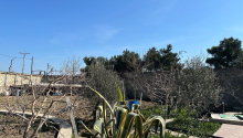 10 sot Torpaq, Satış, Bakı, Sabunçu