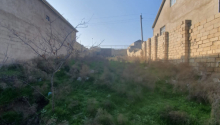4 sot Torpaq, Satış, Abşeron