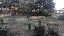 6 otaqlı Bağ evləri, Satış, Abşeron