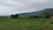 2 sot Torpaq, Satış, Qəbələ